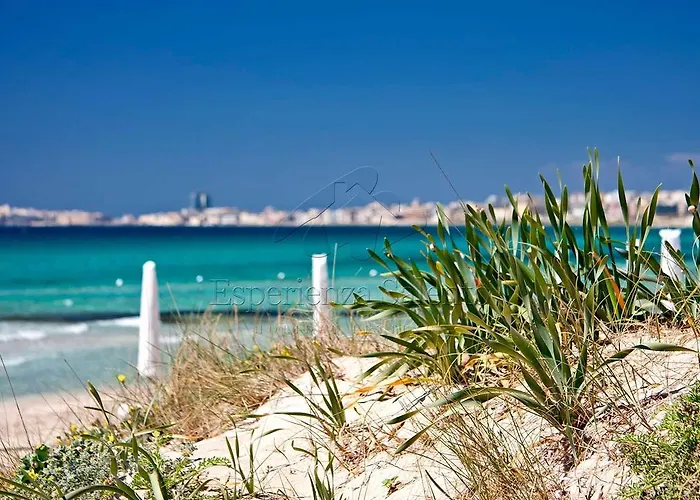 Residenza Gran Viale Vista Mare 加利波利